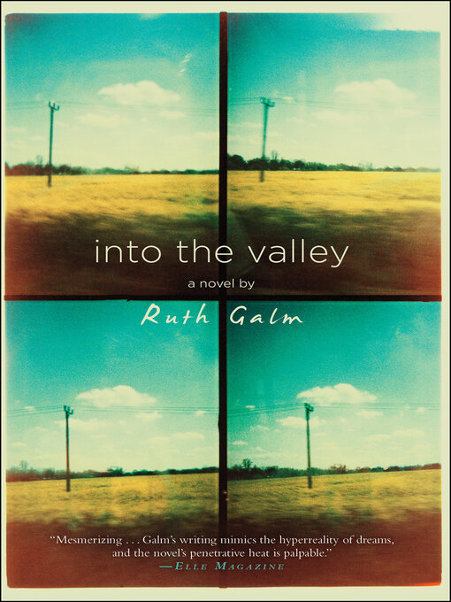 Title details for Into the Valley by Ruth Galm - Available